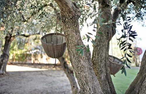 La Taggiasca - Foto 17