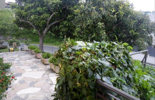 L'edera appartamento - Photo 8