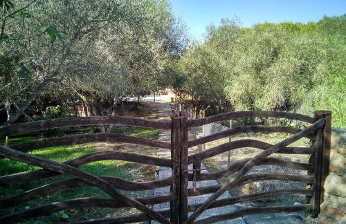 Agroturismo Finca Son Sureda - Foto 116