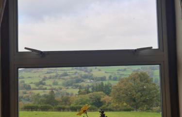 The Old Barn - Photo 6