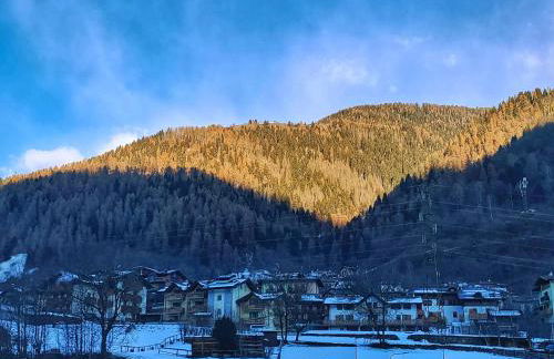 My cozy home on the mountain - Foto 22