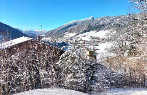 Studio belle vue sur les montagnes - Foto 2