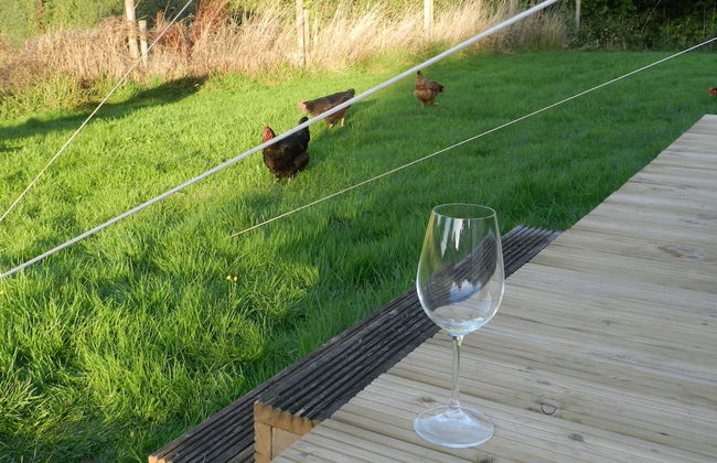 Comfy 4m -bed Bell Tent With Great Views - Foto 14