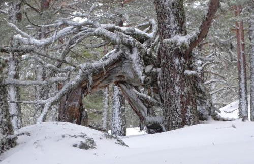 La casa del Alamo - Foto 32