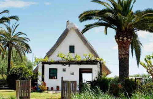 Ruzafa experience Oceanografic ciencias - Photo 66