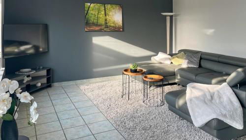 Pet Friendly Home In Bad Harzburg - Foto 5