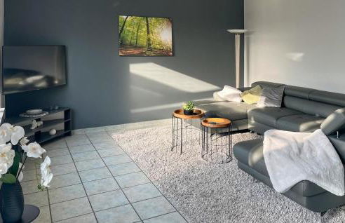 Pet Friendly Home In Bad Harzburg - Foto 5