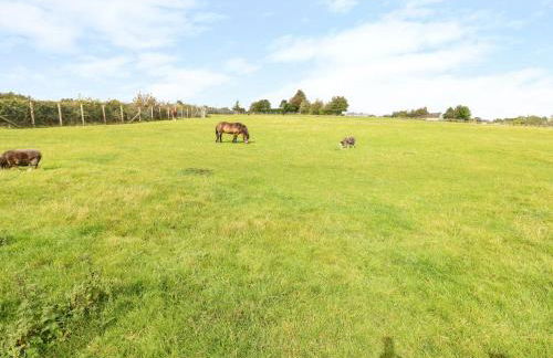 Potters Barn - Photo 19