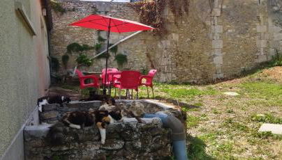 Maisonette Vallée de l'Automne Streaming & Vinyles - Foto 5