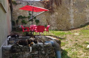 Maisonette Vallée de l'Automne Streaming & Vinyles - Foto 5