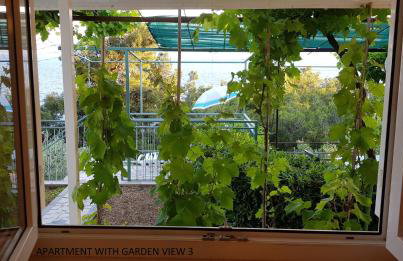 Apartments Olga & Jure - Foto 44