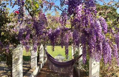 Cottage with Pool,Gourmet BBQ,Wood Oven&Games Barn - Foto 56