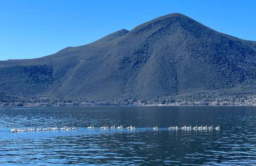 Smiling Otter Retreat! Waterfront/pool/spa/games! - Foto 14