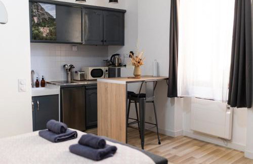 Studio vue sur le rocher - Foto 14