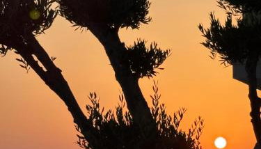 Primosten Sunhill Deluxe Apartment Laura - Foto 5