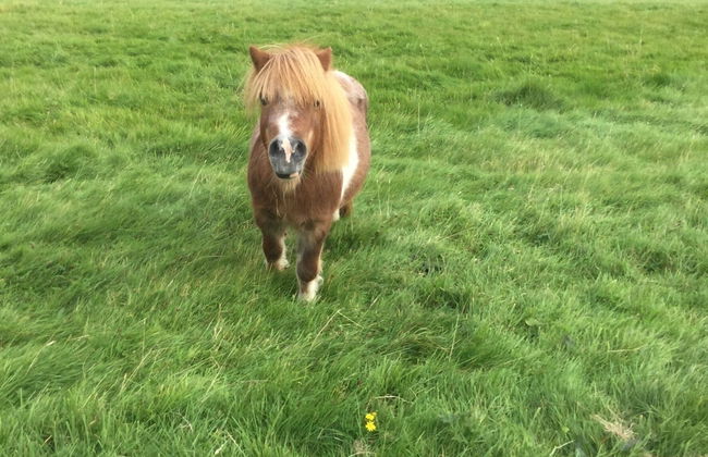 Impeccable Cottage Suitable for 2 Adults & 1 Child - Foto 24