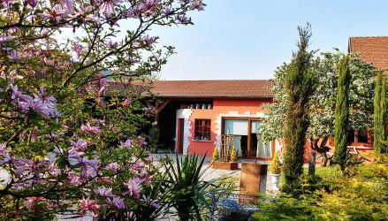 Gîte au centre de l'alsace - Foto 2, Garden, Garden view