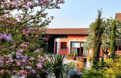 Gîte au centre de l'alsace - Foto 2