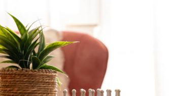 Blick auf die Sachsenhöhe - Foto 3