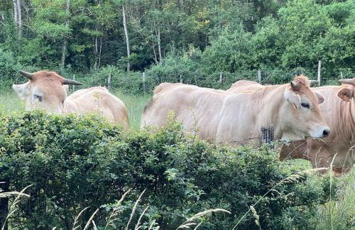 Templar House With Pool Near Chablis - Foto 3