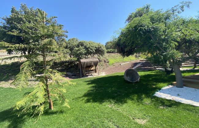 Odette Bodrum - Foto 58