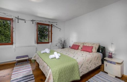 Gorgeous Home In Ravna Gora With Wifi - Foto 18