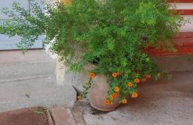 Ferienwohnung im idyllischen Jena Ziegenhain - Foto 31