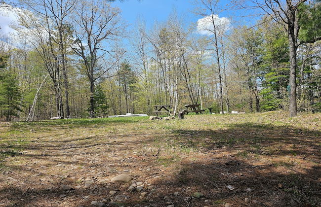 Mazinaw Lakeside RV Park & Campground - Photo 22