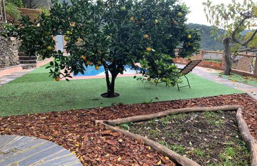 Caserío de Ovejuela - Foto 72