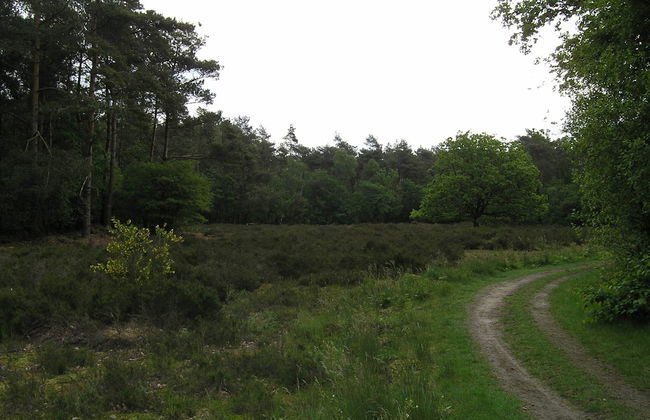 Holiday Home With Garden in Den Ham - Foto 33