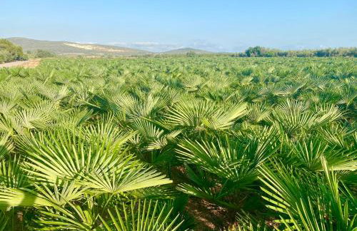 Casita del Toro - Foto 28