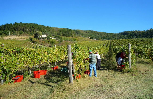 Farmhouse in Dicomano With Tuscan Views - Photo 21