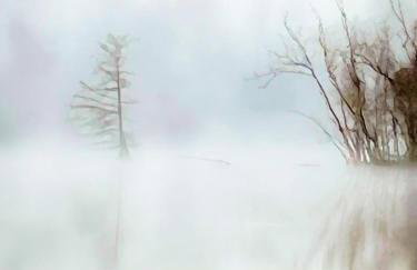 Kingwood Cottage - 10 mins from IAH - Lake Front - Foto 36