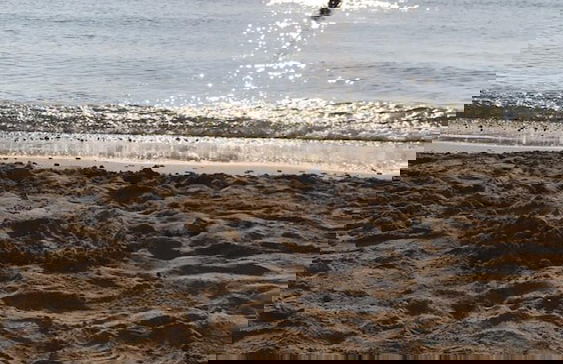 Concept Studios in Caesar Resort Cyprus - Photo 26