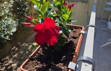 Cà Fiamma 2 - Foto 34