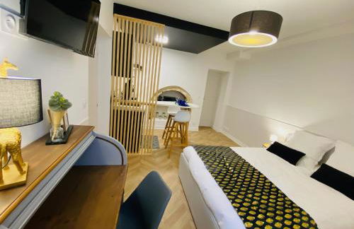 Le Studio Haslay SERAUCOURT en plein cœur de ville de BOURGES - Charme de l ancien et confort contemporain - Foto 25