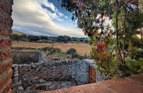 La Candileja - Foto 31