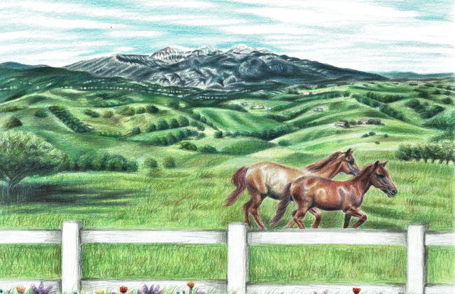 Atessa Ecapes - Foto 3