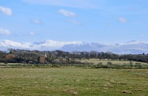 Lapwing - Uk6706 - Foto 11