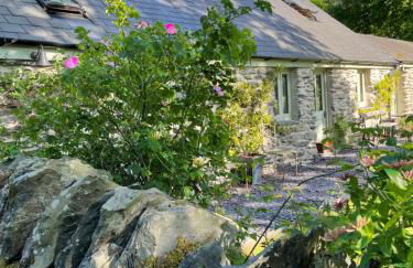 Glanrhyd cottage - Foto 7