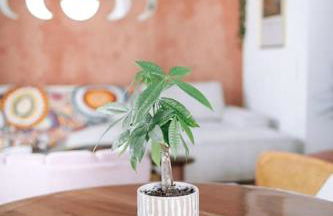 Penthouse with rooftop - Foto 12