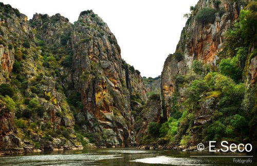 Antiguo Casino de los Arribes - Photo 80