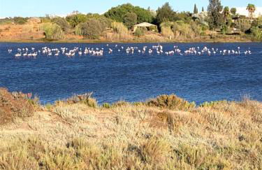 Quinta Nova 103 - Foto 17