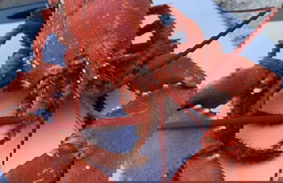 Turnberry Serviced Apartments - Photo 39