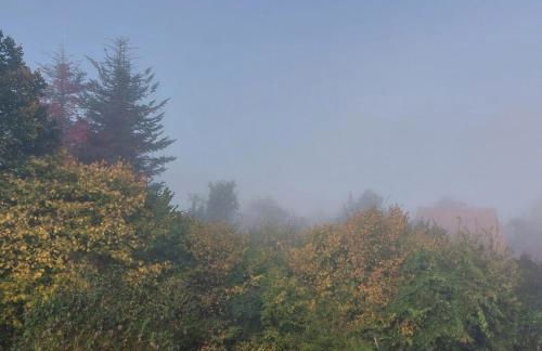 FeWo Dreiseitenblick - Foto 36