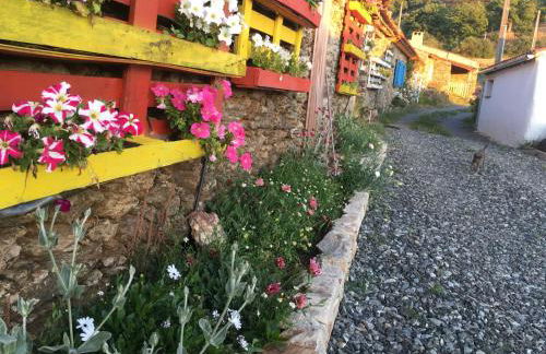 Mosteirinho - Foto 14