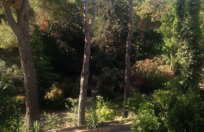 Mas De San Antonio - Foto 16