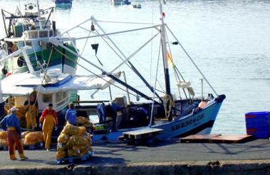 Fleur de Mer - Foto 17