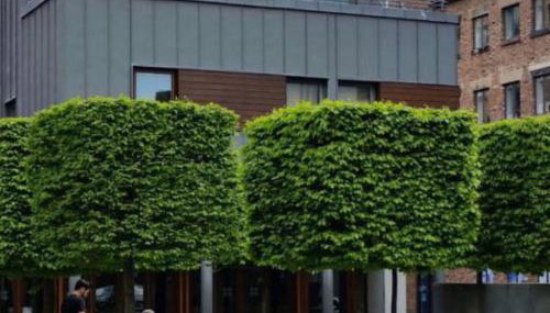 Campbell Square Apartment 3 - Foto 2