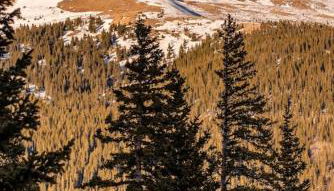 Cozy Cabin Perched on the Mountainside - Alpine Haus - Foto 4